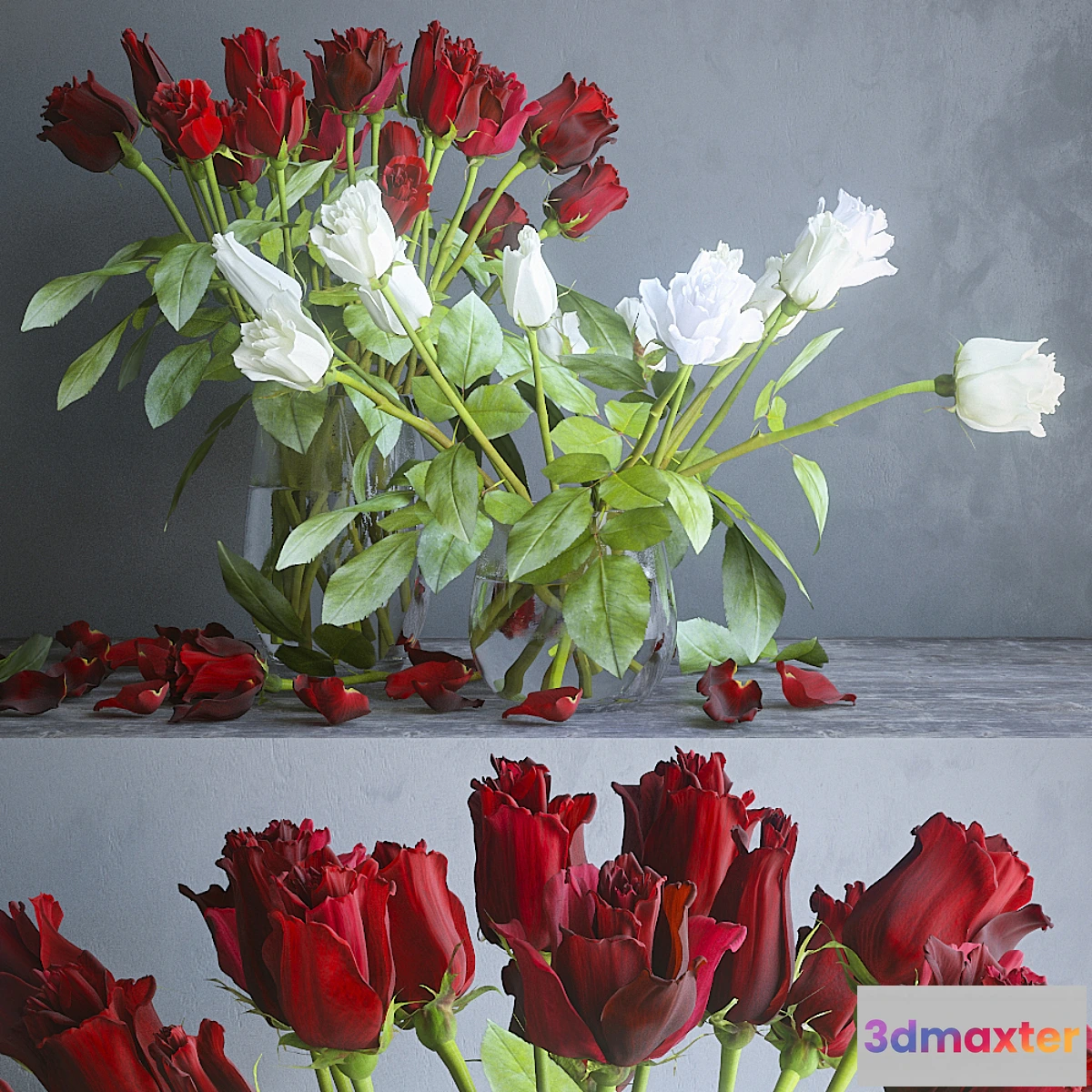 847097 - Red and white roses - No.2