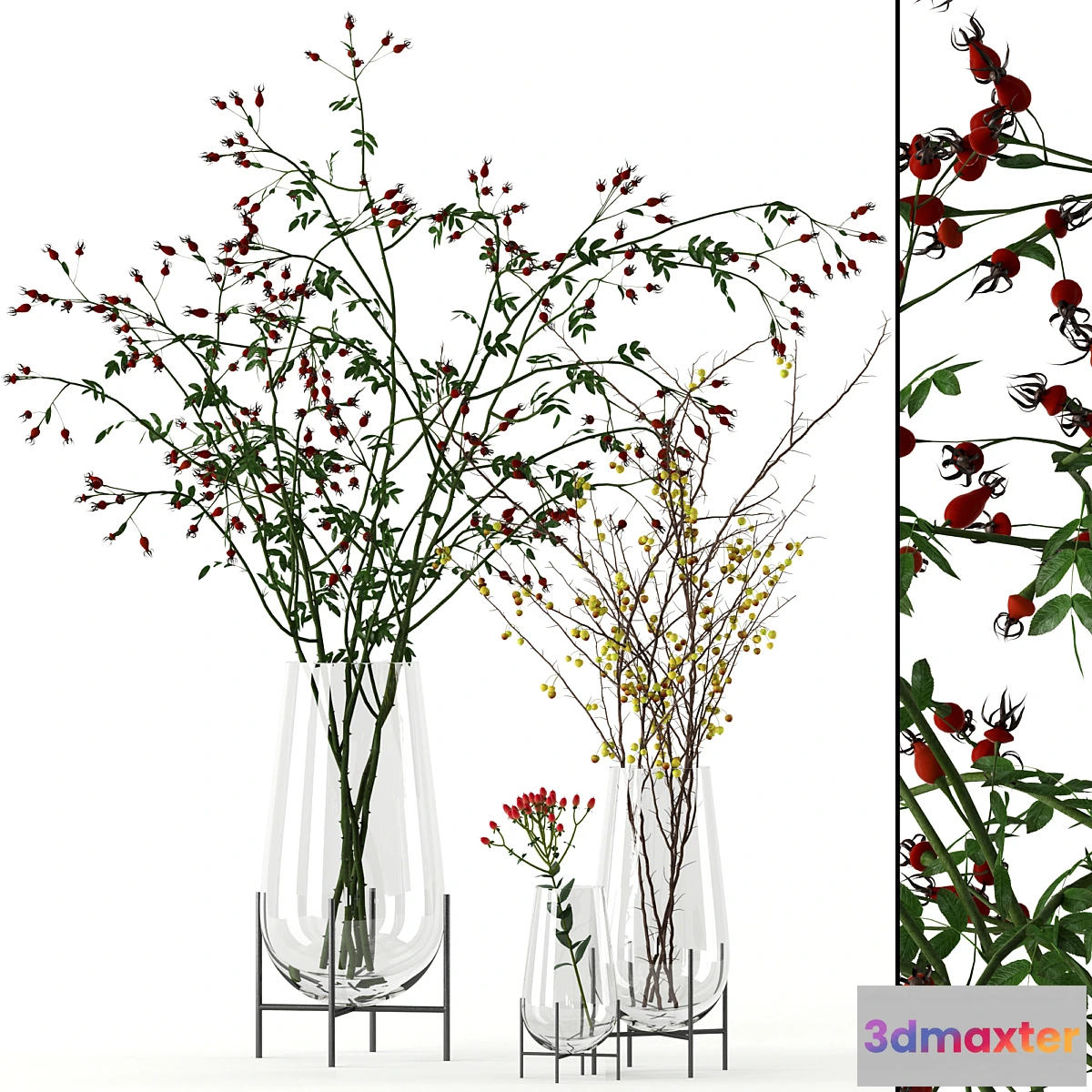 847099 - Twigs in Echasse Vases