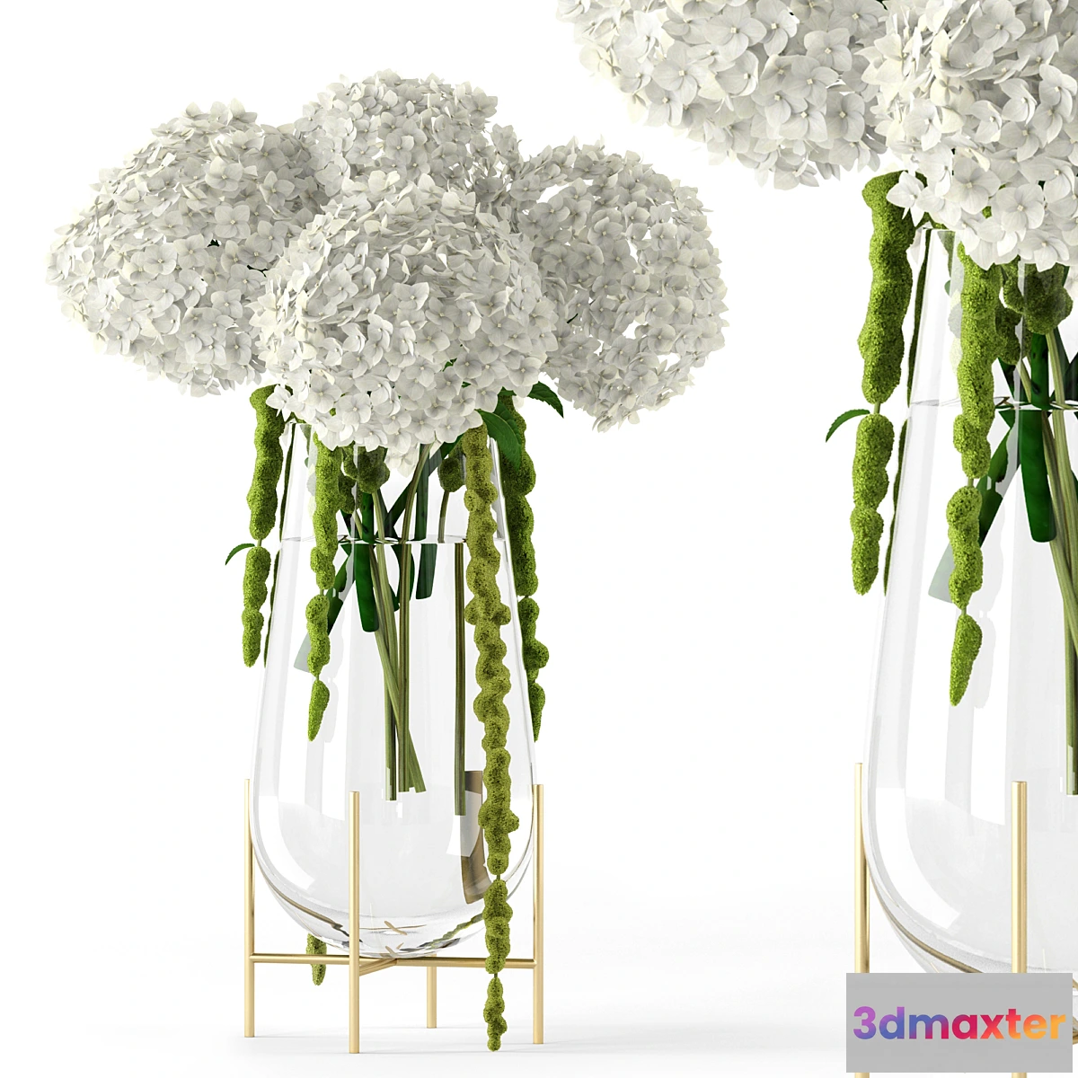 847109 - Amaranthus and Hyndrangea - No.3