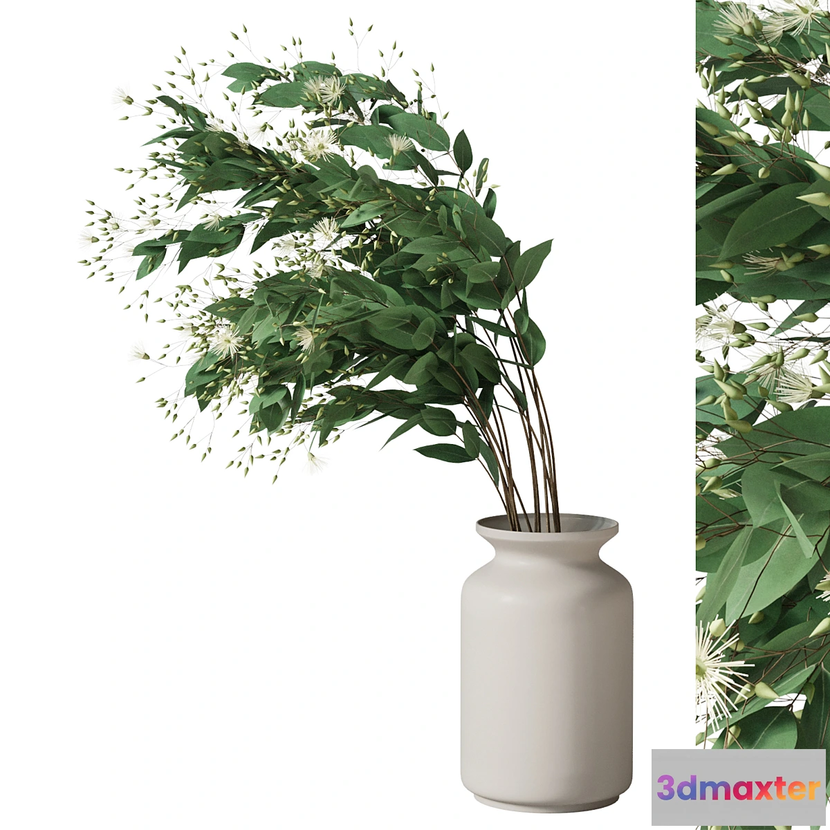 847143 - Boquet eucalyptus - No.3
