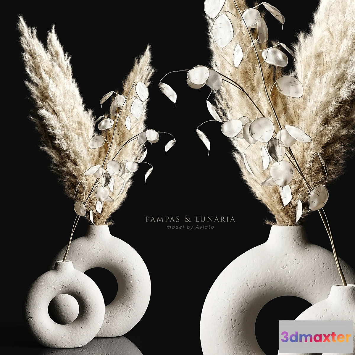 847153 - Pampas & lunaria - No.4