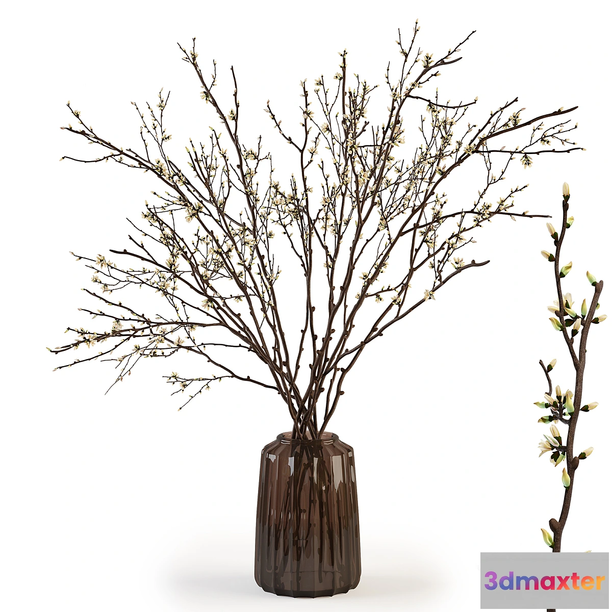 856661 - Branches in a vase 015