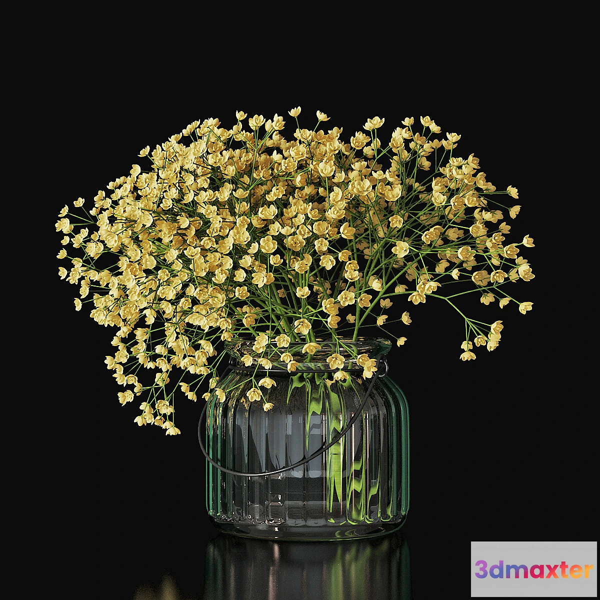856665 - Gypsophila 03 - No.2