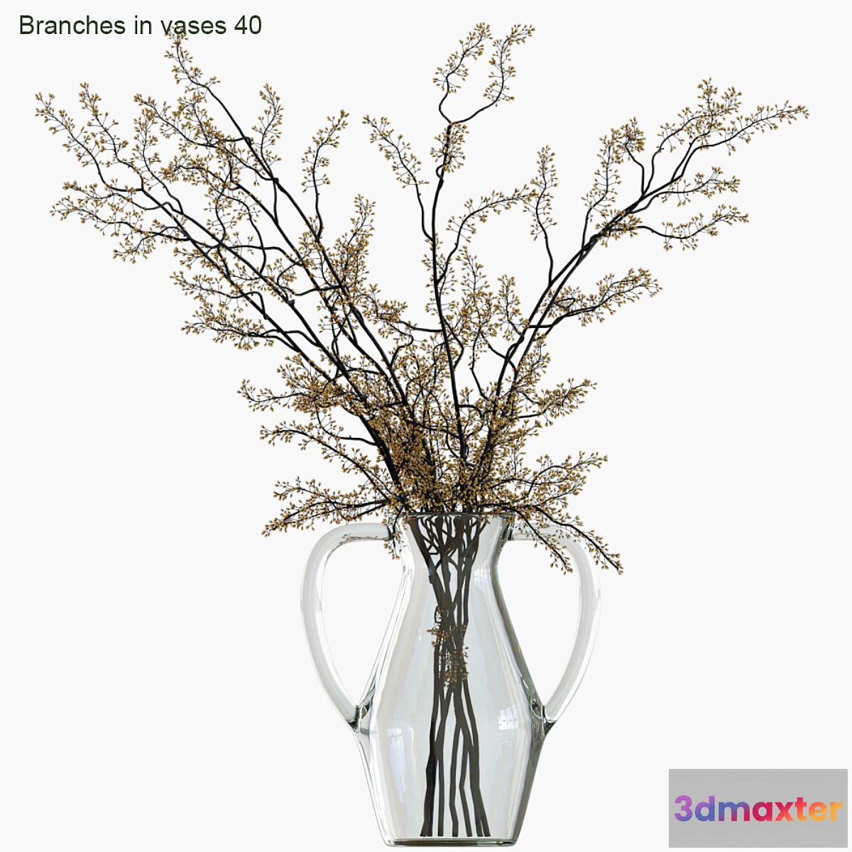 856689 - Branches in vases 40