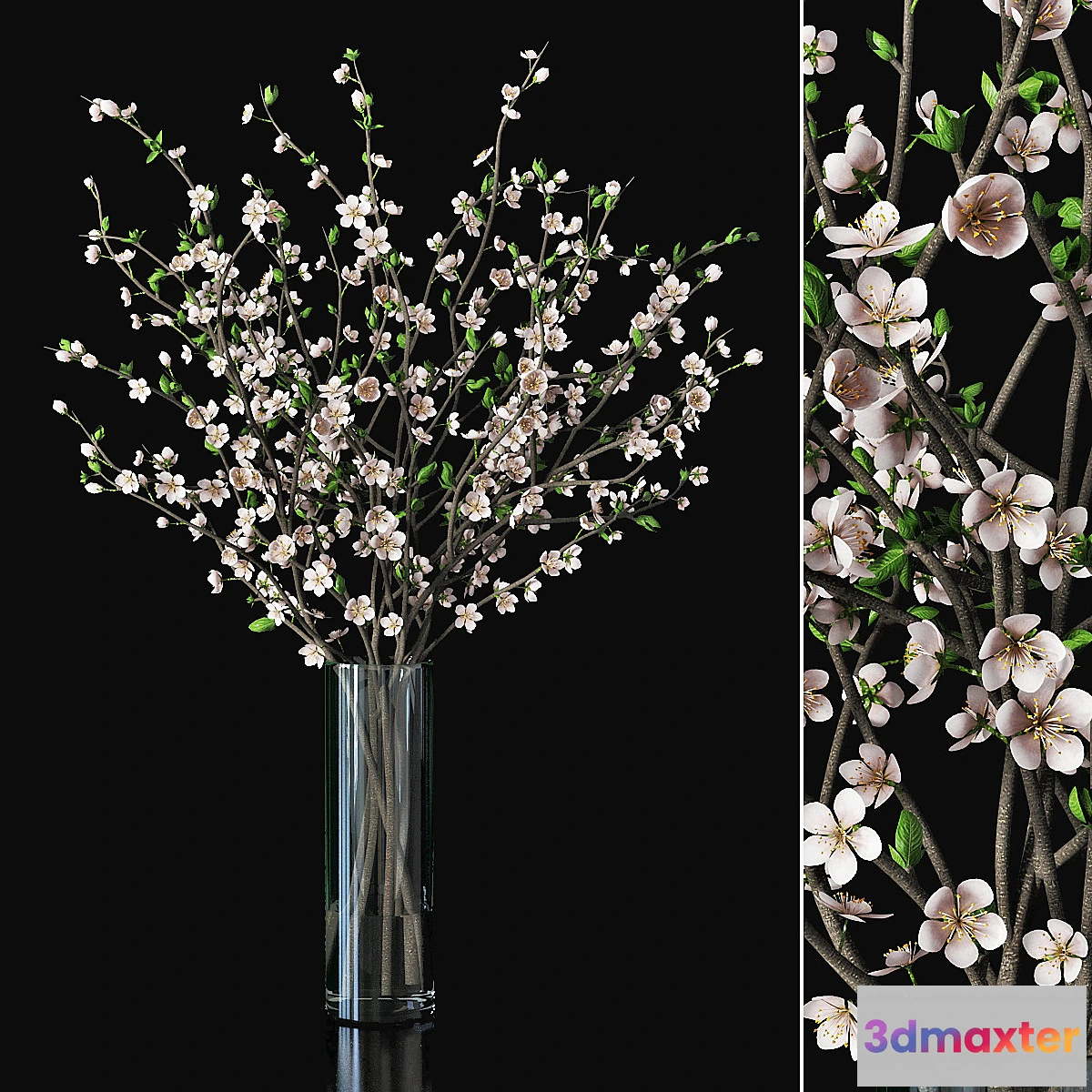 856699 - Plum blossom 03