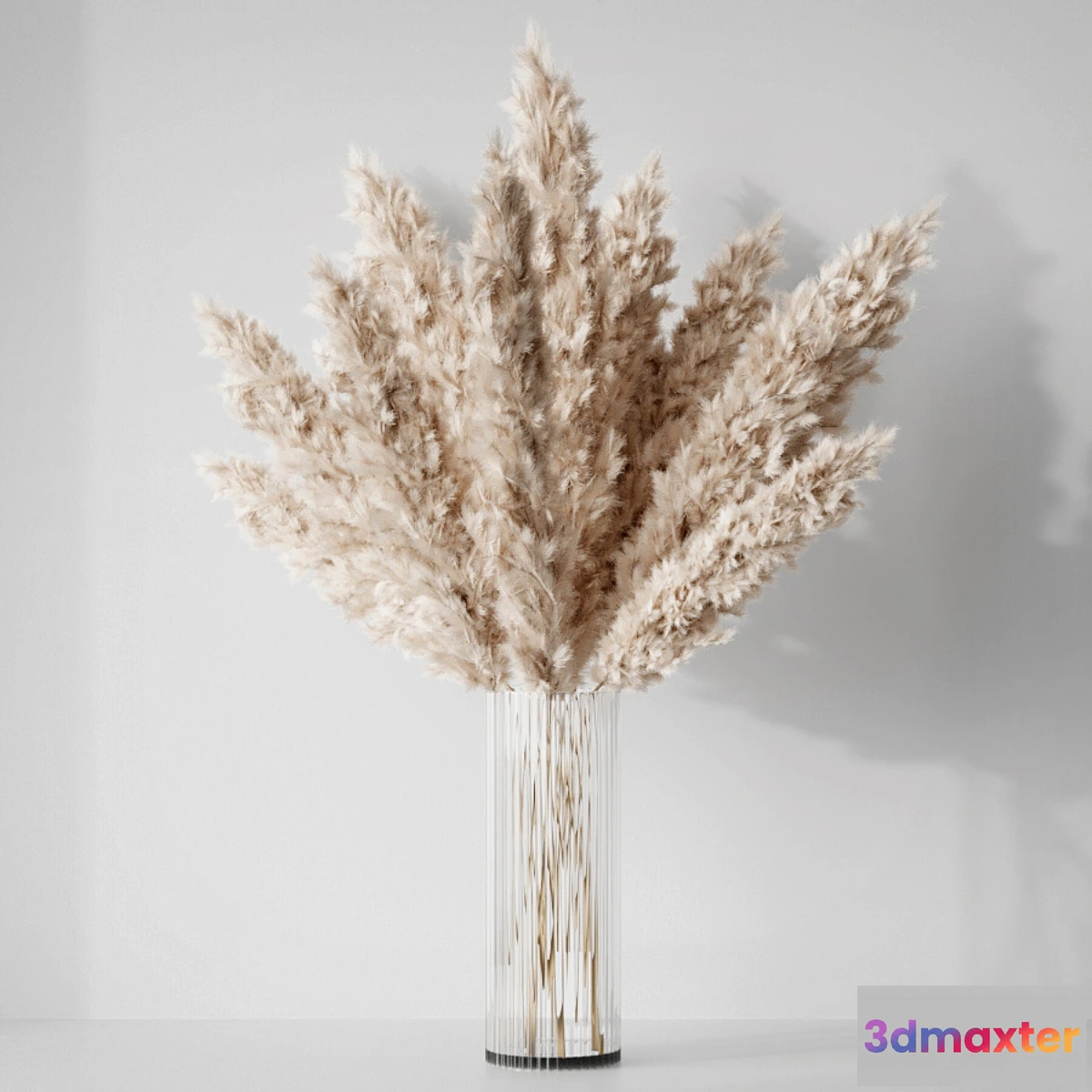 856717 - Pampas - No.2