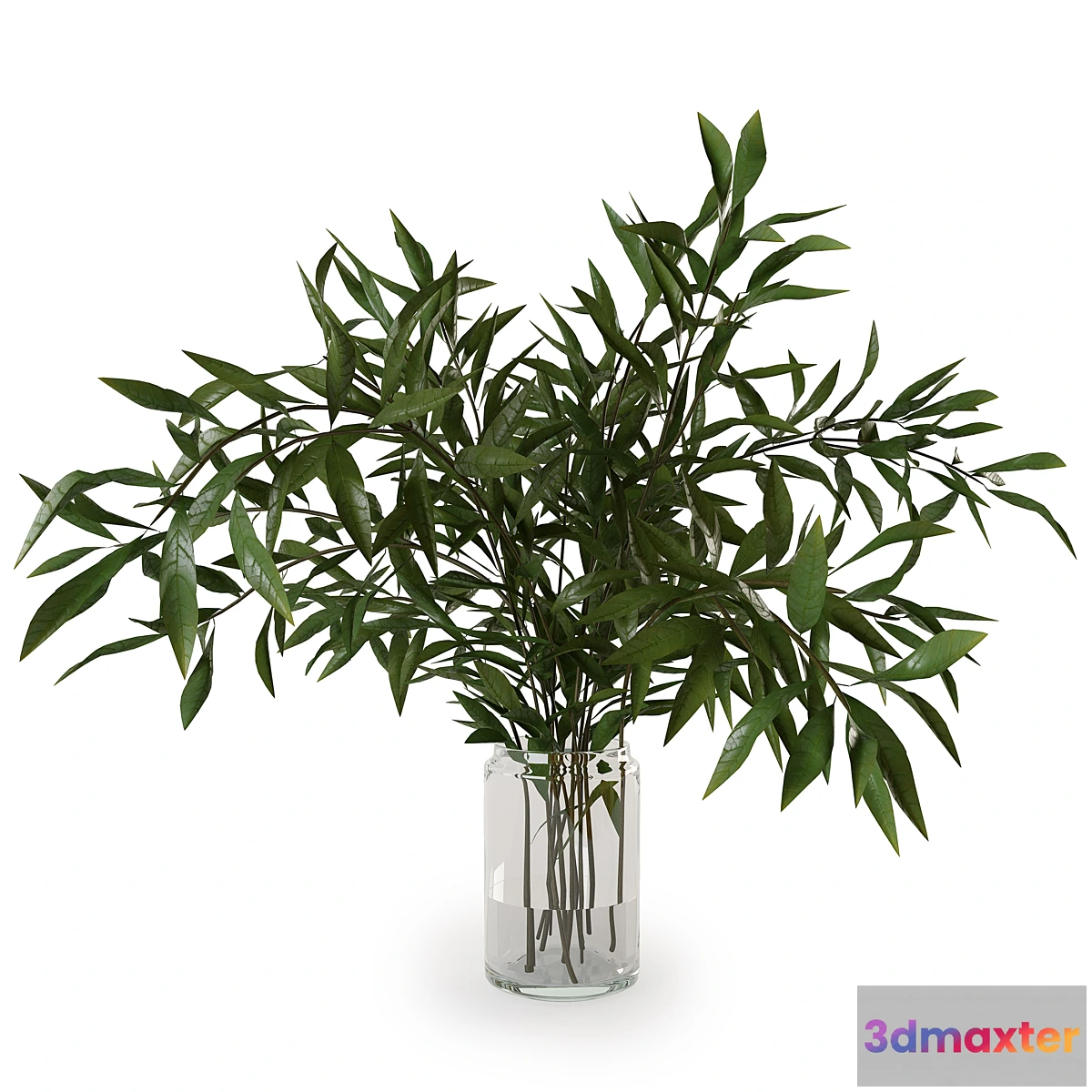 856747 - Branches in a vase 007 - No.3