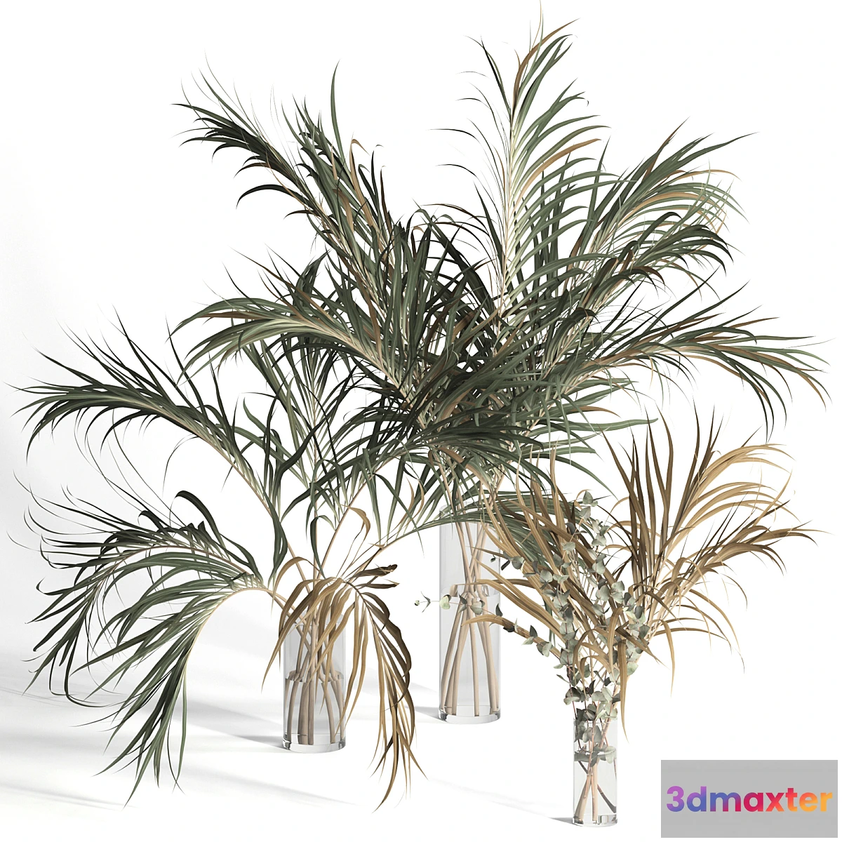 856751 - Dry palm leaves in vases - No.4