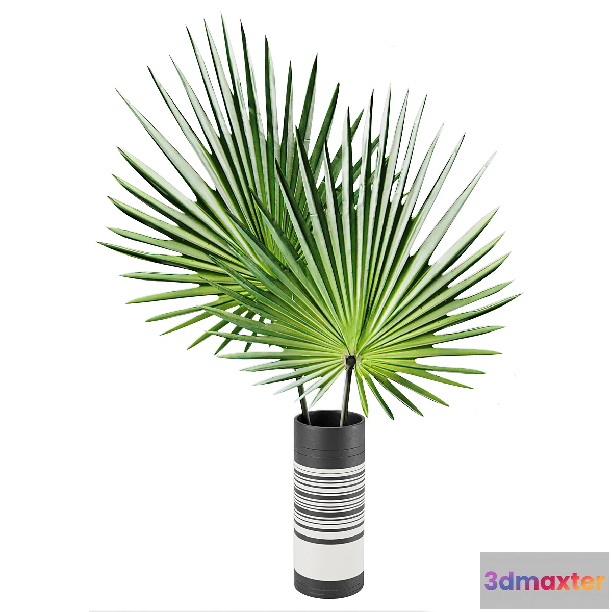 856763 - vase01 - No.4