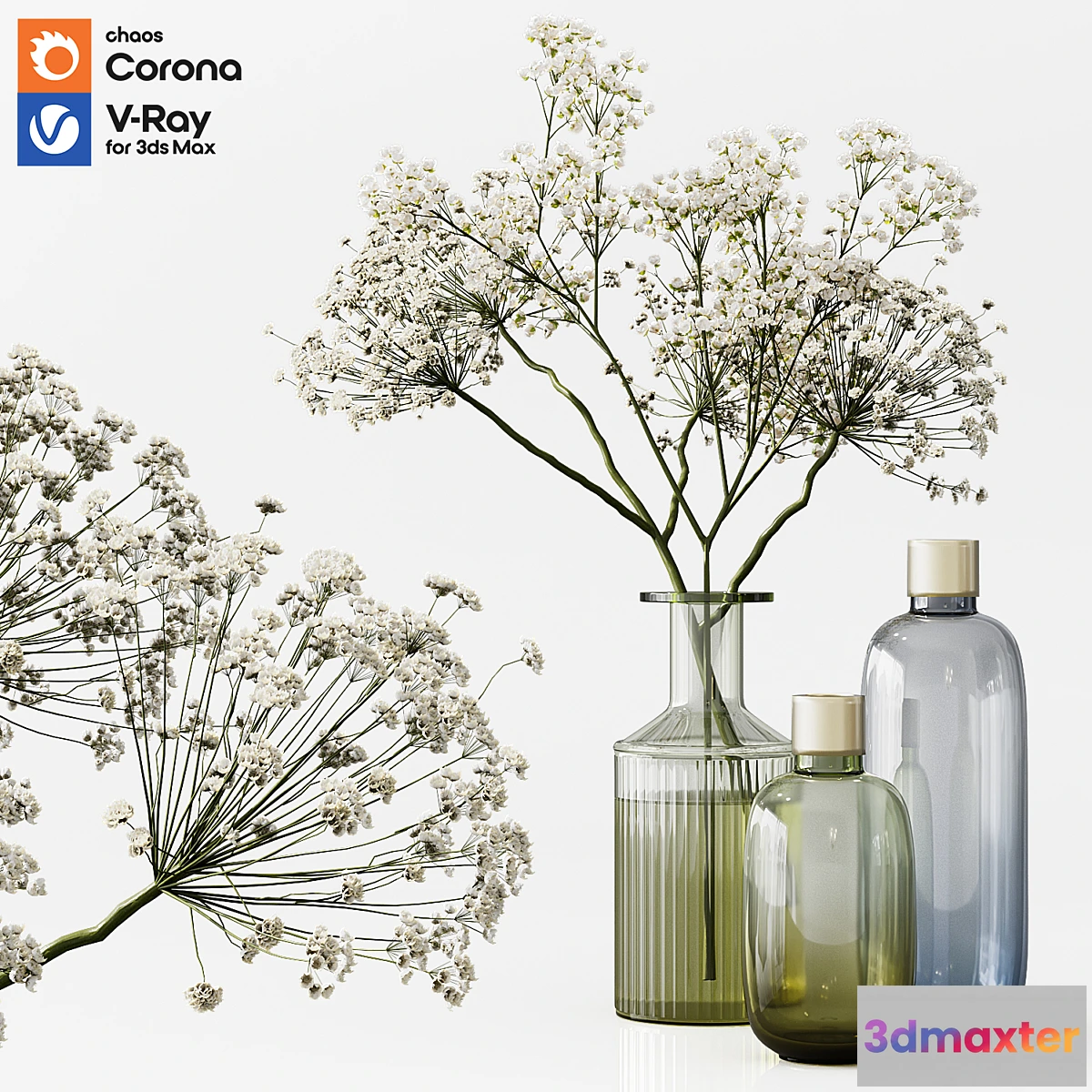 891670 - Collection Indoor Plants 03 - No.4