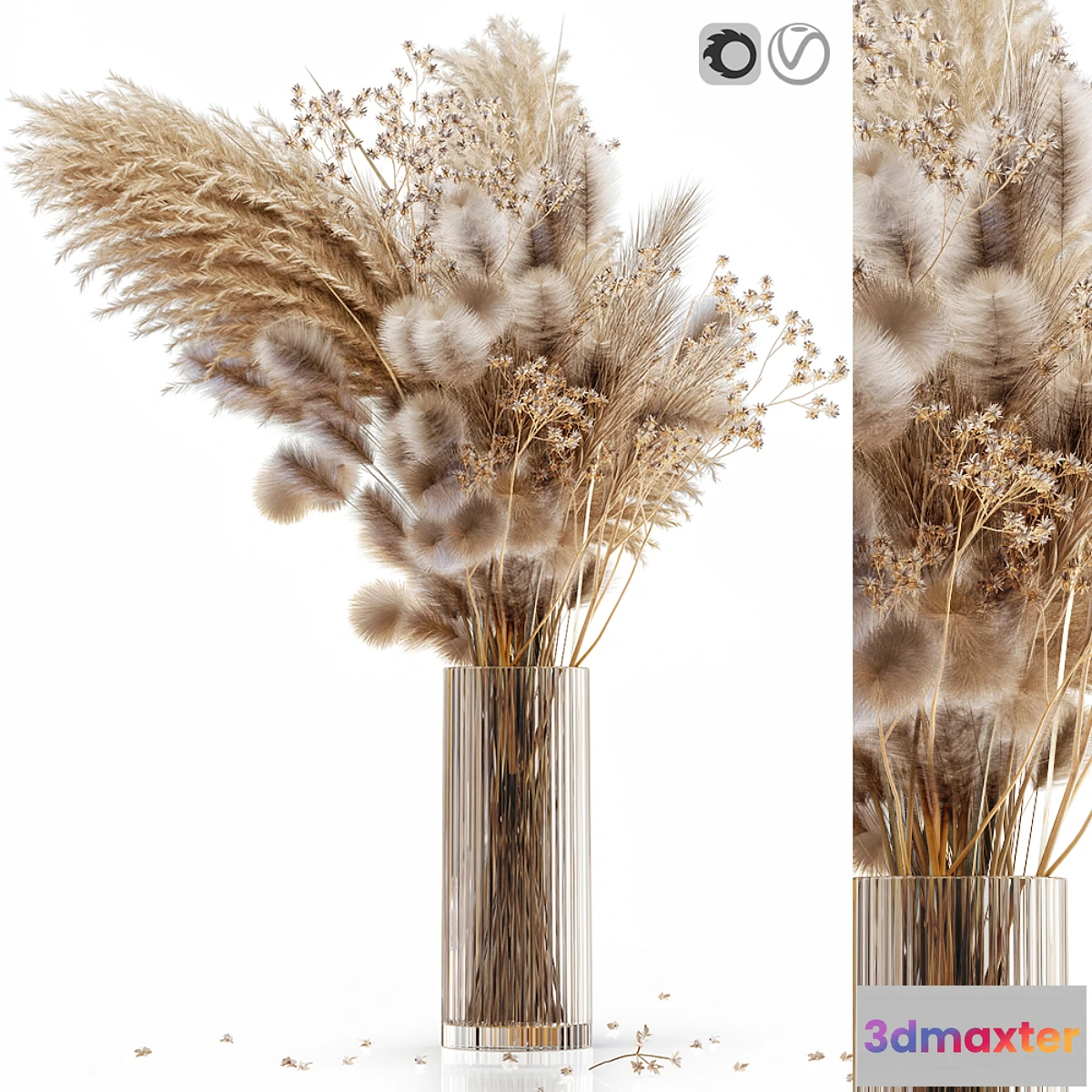 891736 - Dry flowers in modern vase 3 - No.6