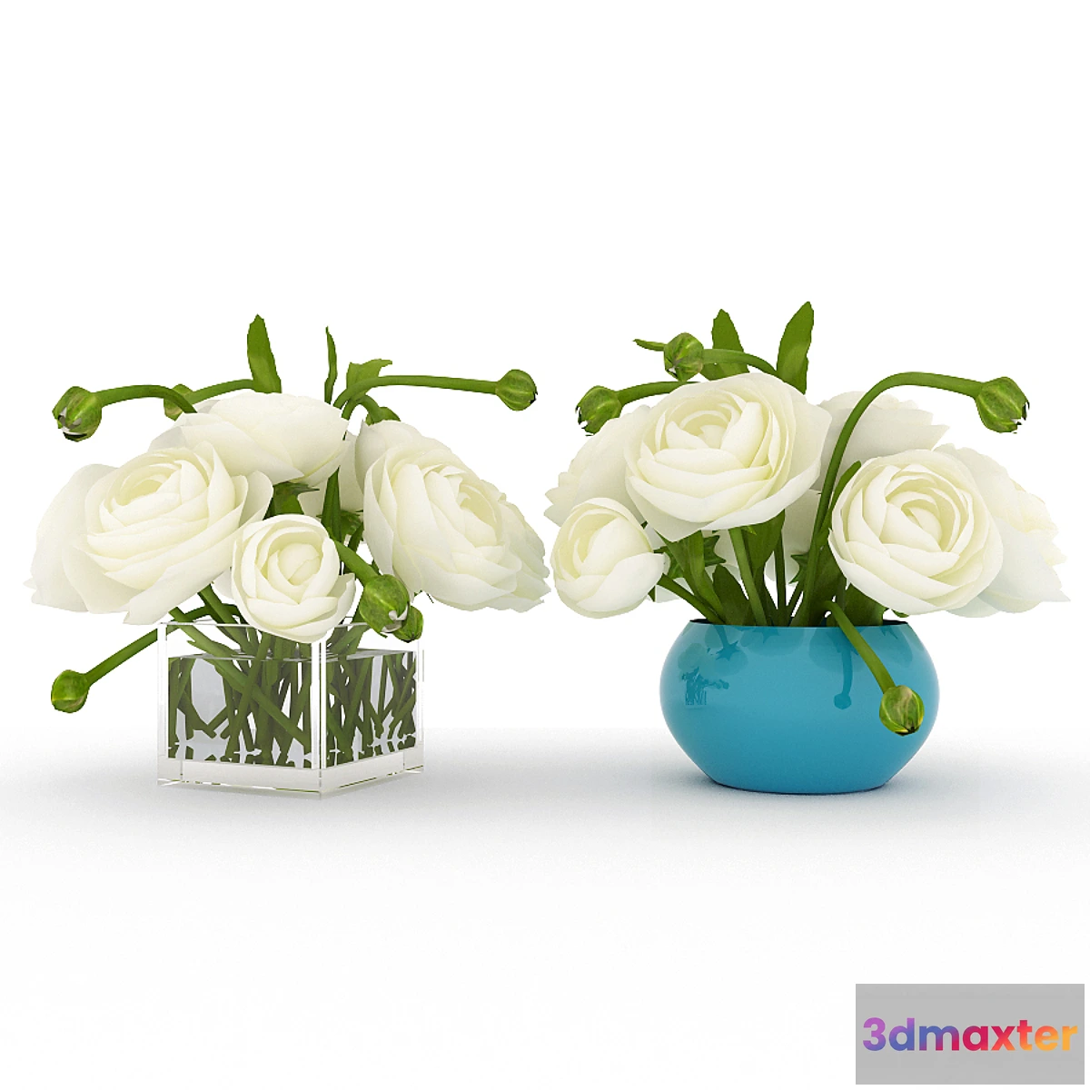 898208 - White ranunkulyusy - No.2