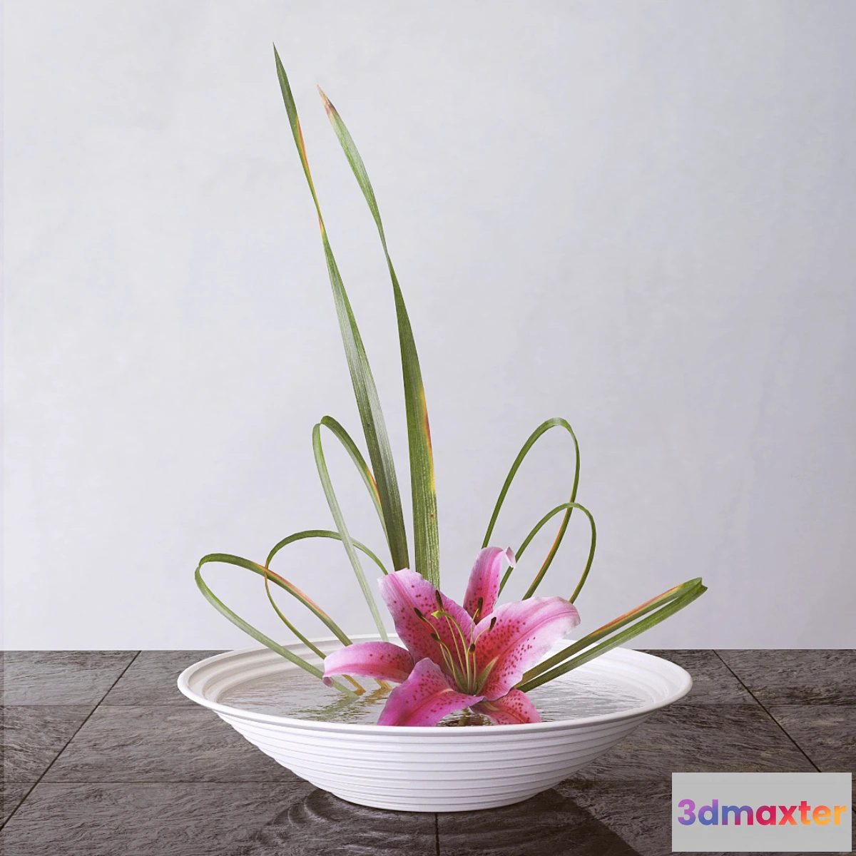 898210 - Lily - No.9