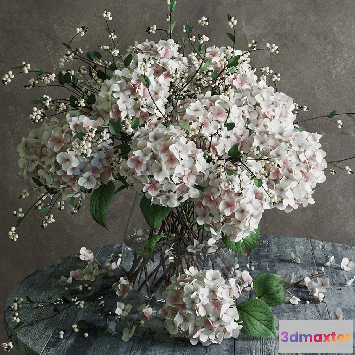 898242 - Hydrangea - No.12