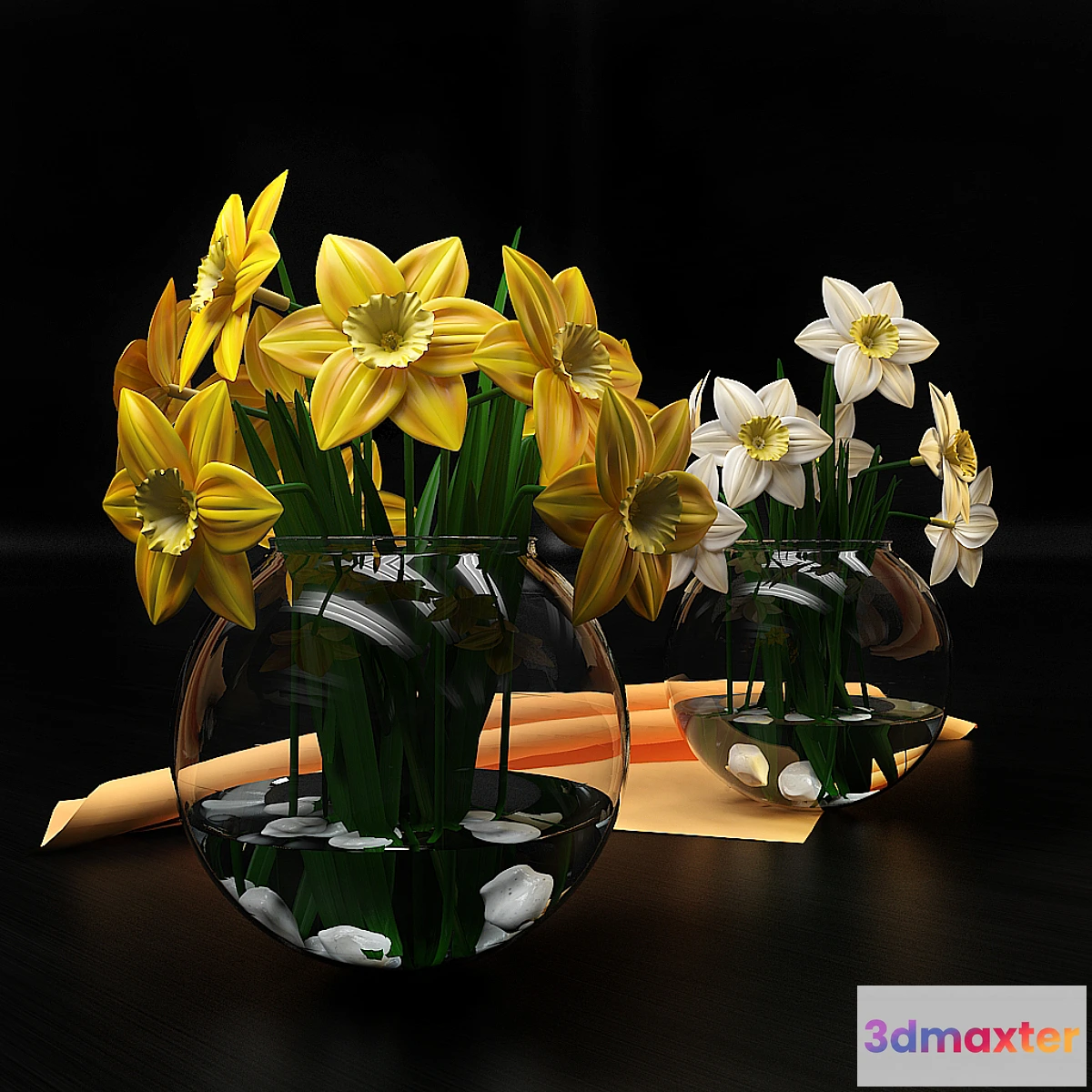 898252 - Narcissus - No.2