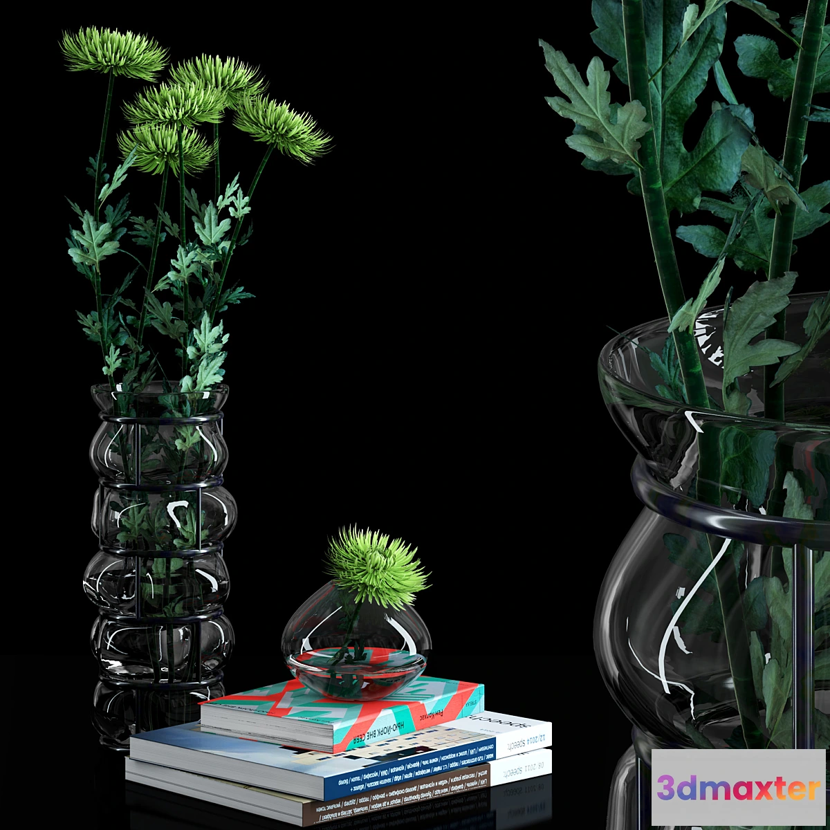 898292 - Green Spider Mom Asters Set