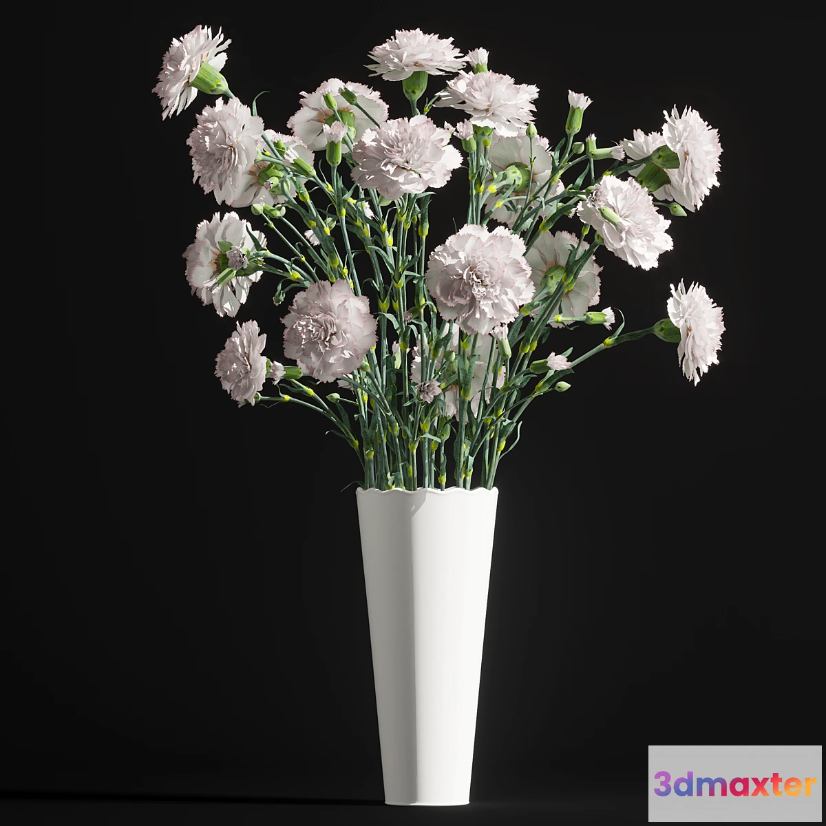 898328 - Carnation 2 - No.4