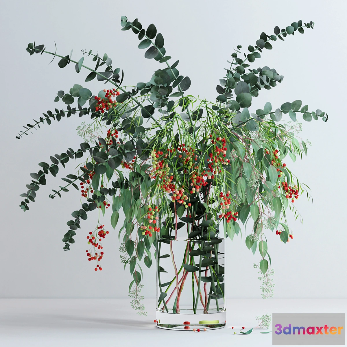 898396 - Pepperberries and Eucalyptuses - No.4