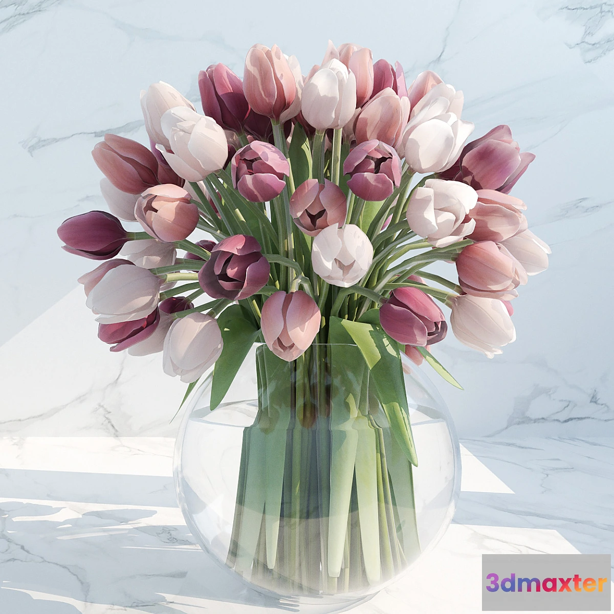 898412 - tulips - No.26