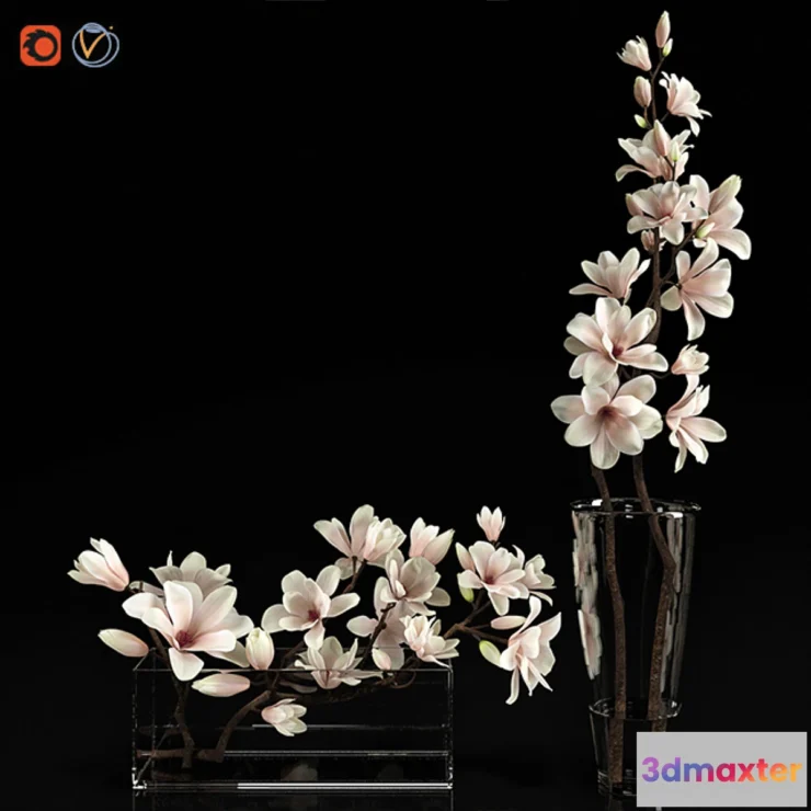 898514 - Magnolia 2 - No.4