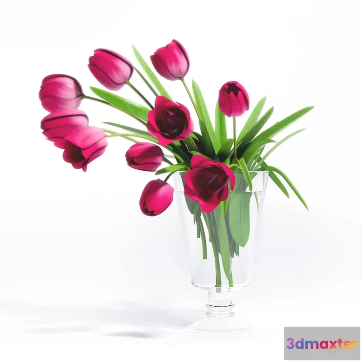 898562 - TULIP FLOWER - 5 - No.2