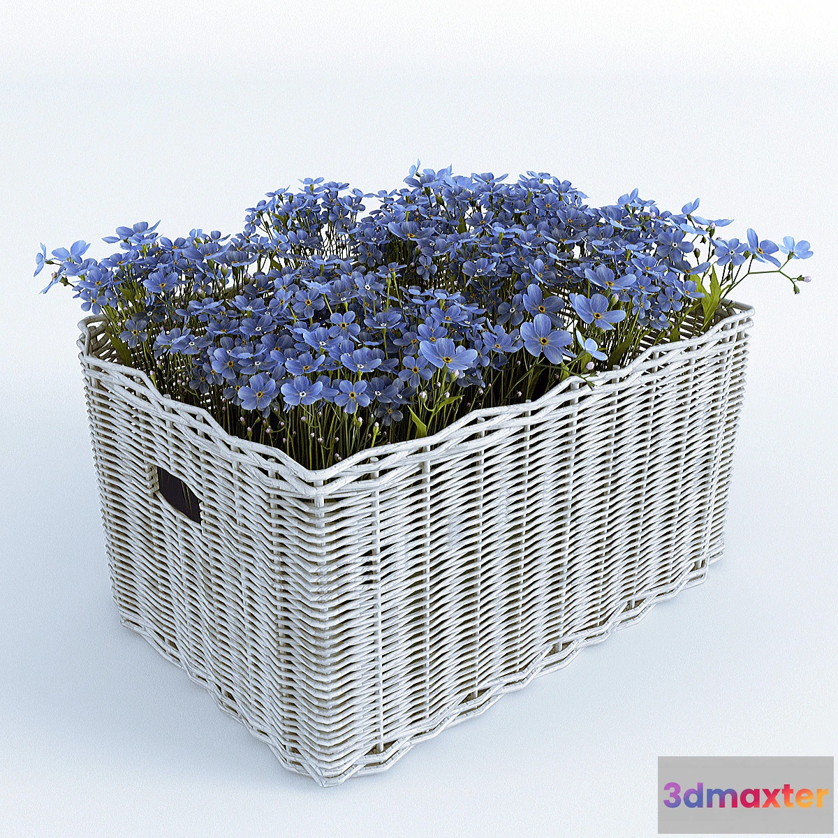 898636 - Basket with Forget-Me - No.4