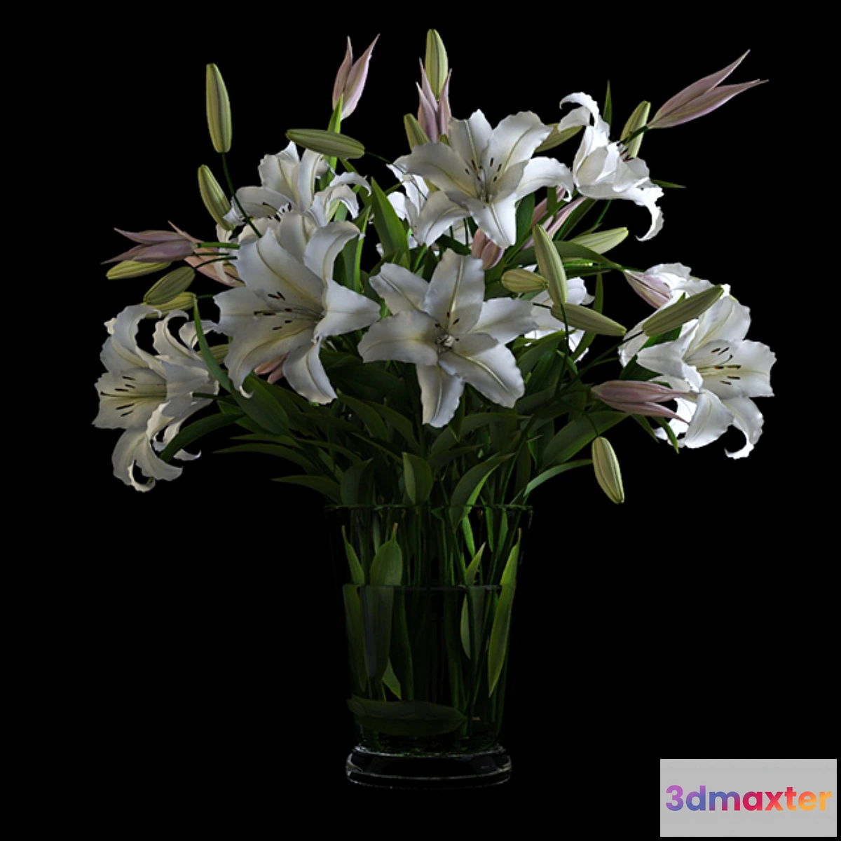 898692 - Lilies in a Vase - No.3