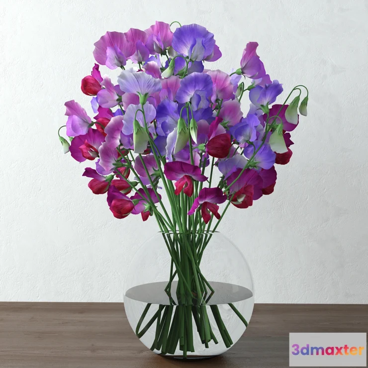 898710 - Sweet pea - No.4
