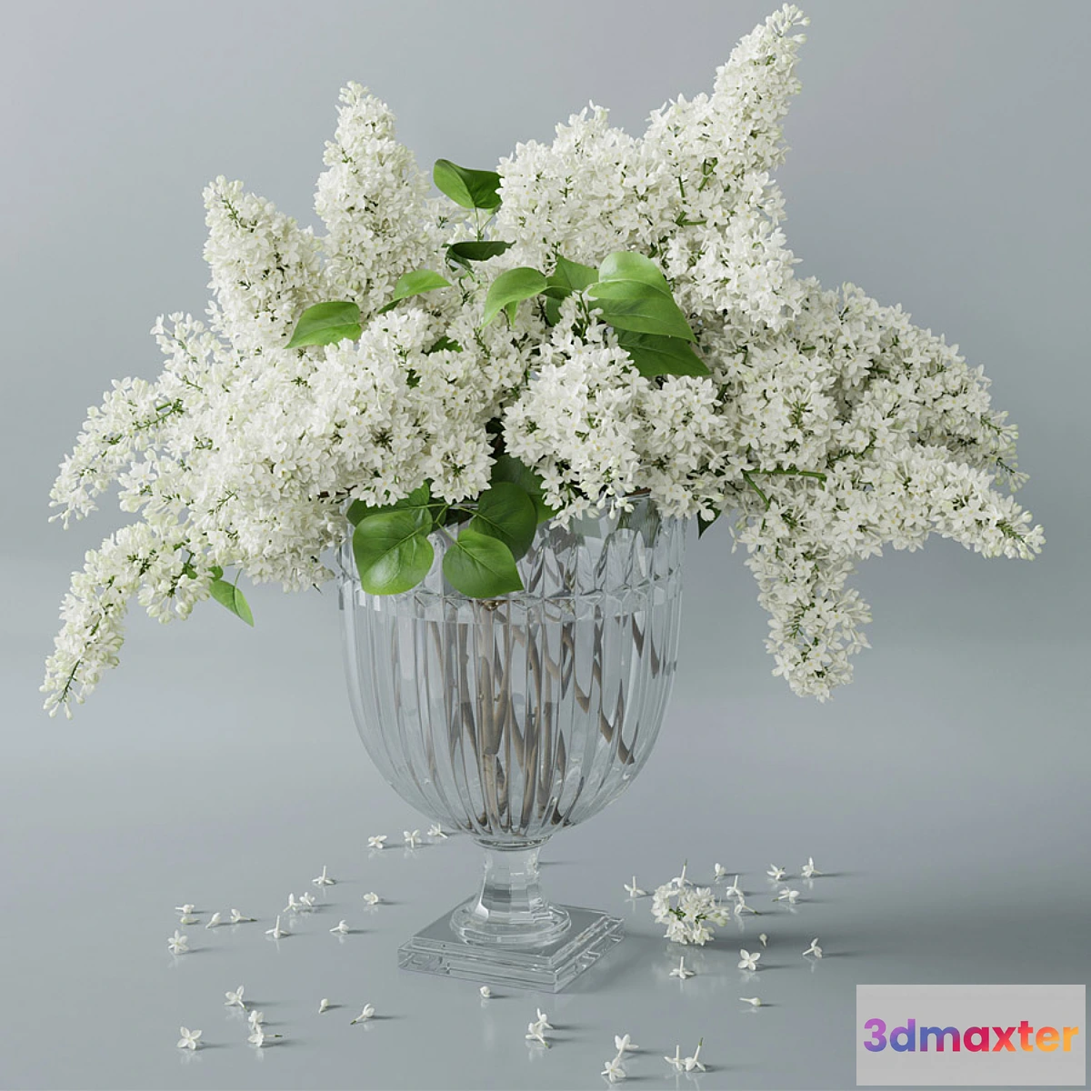 898818 - lilac 2 - No.2