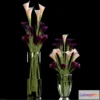 898850 - CALLA LILLY PURPLE