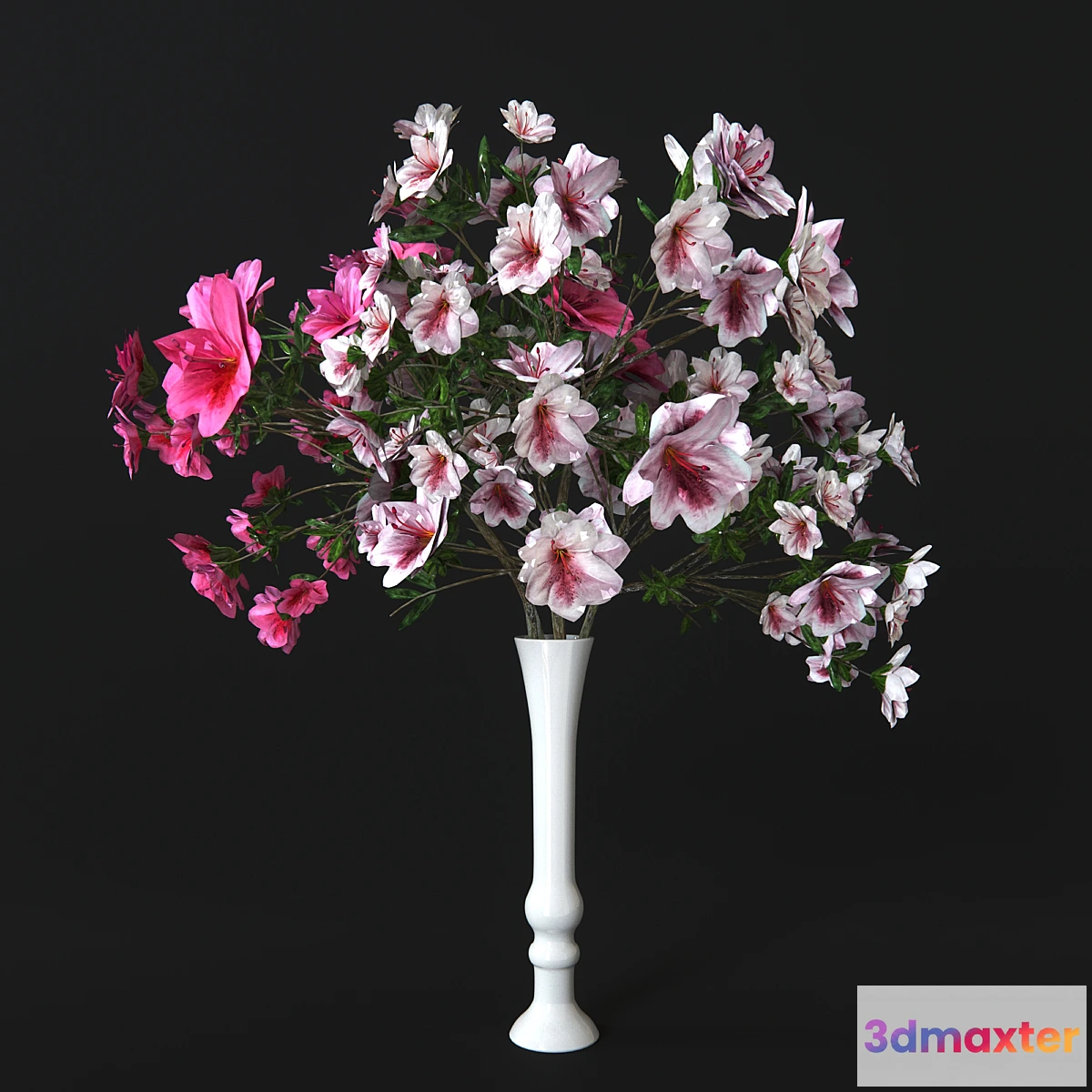 898852 - Azalea - No.2