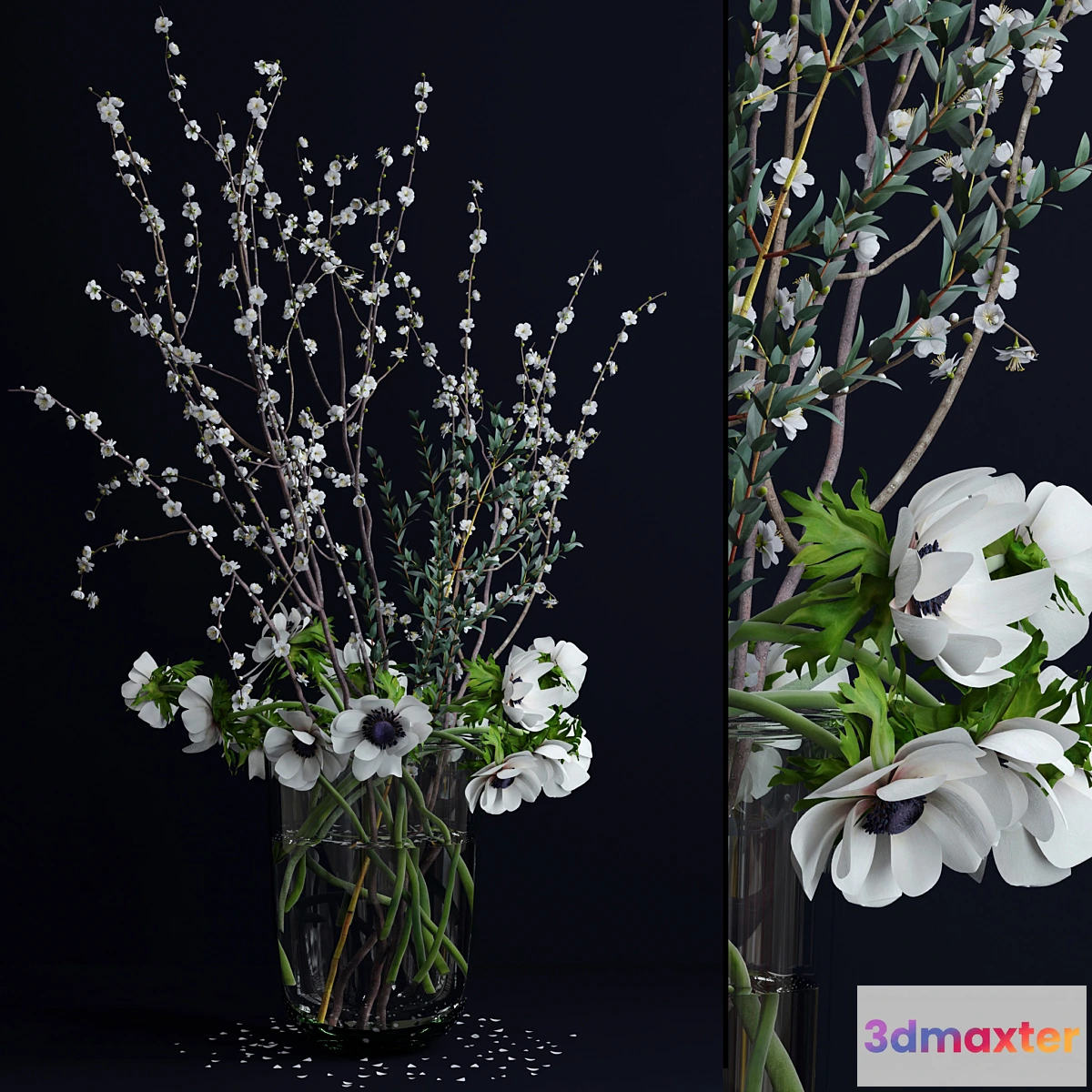 899040 - Anemones and branches - No.3