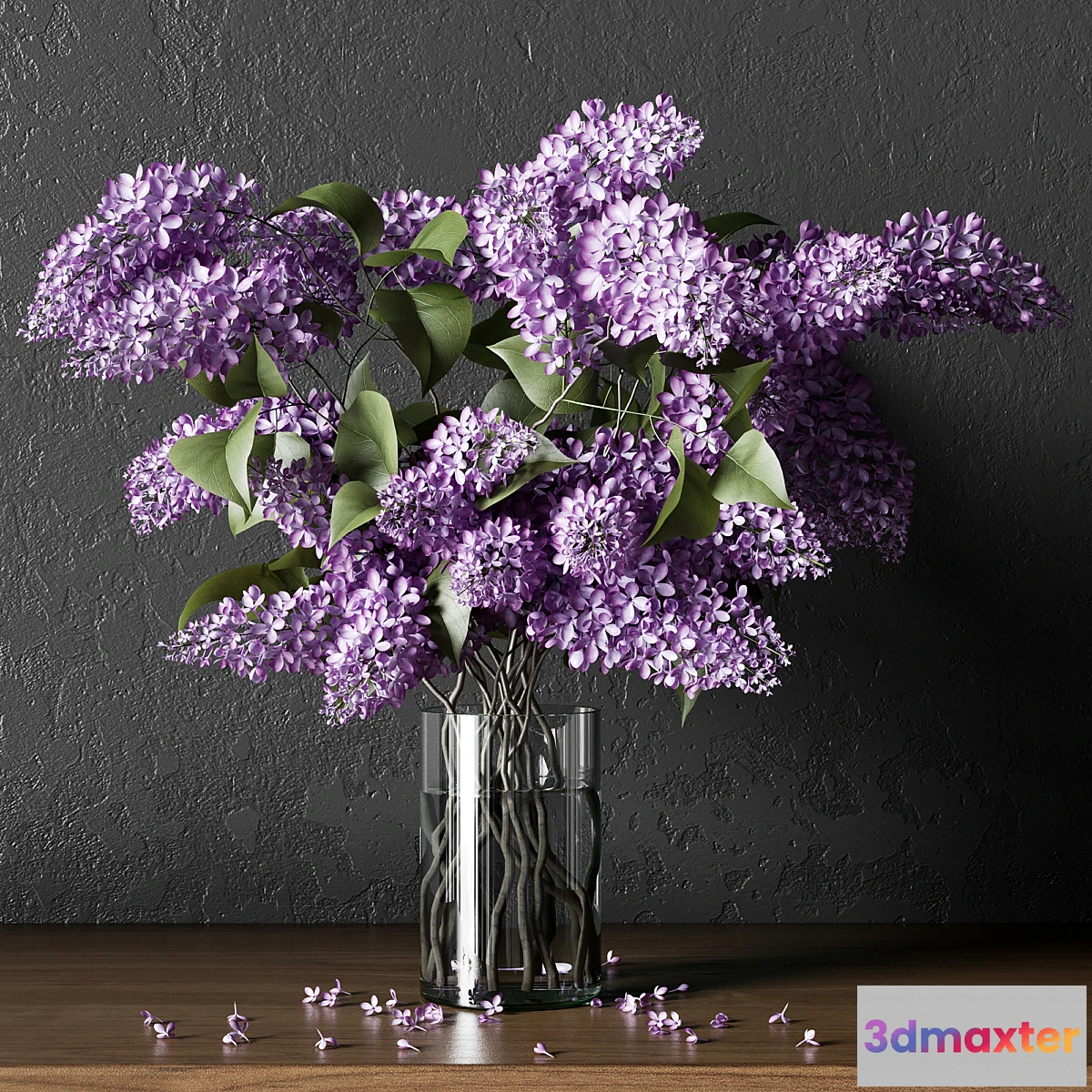 899136 - PLANT_004 - No.4