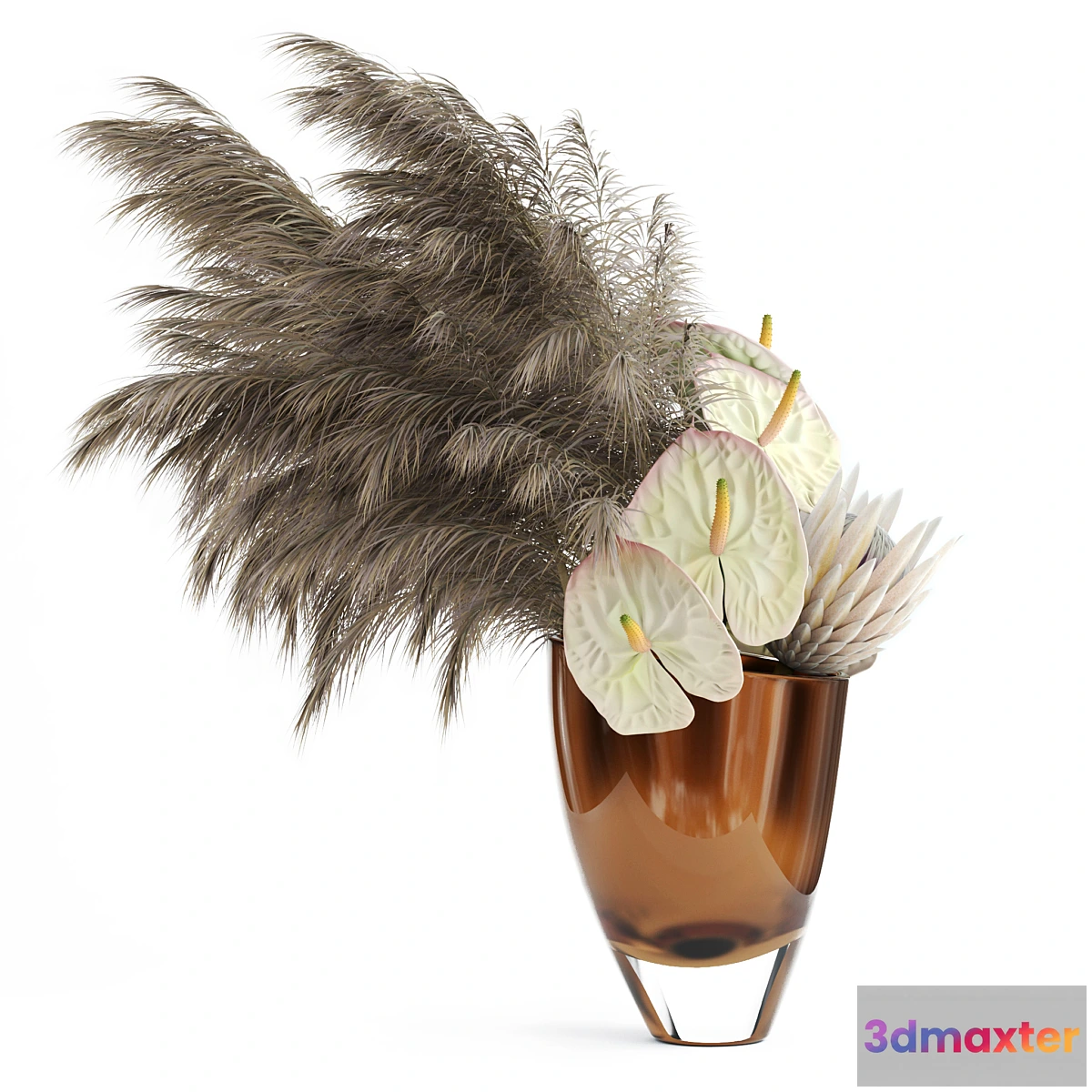 899226 - Anthuriums & Protea & Pampas grass - No.4