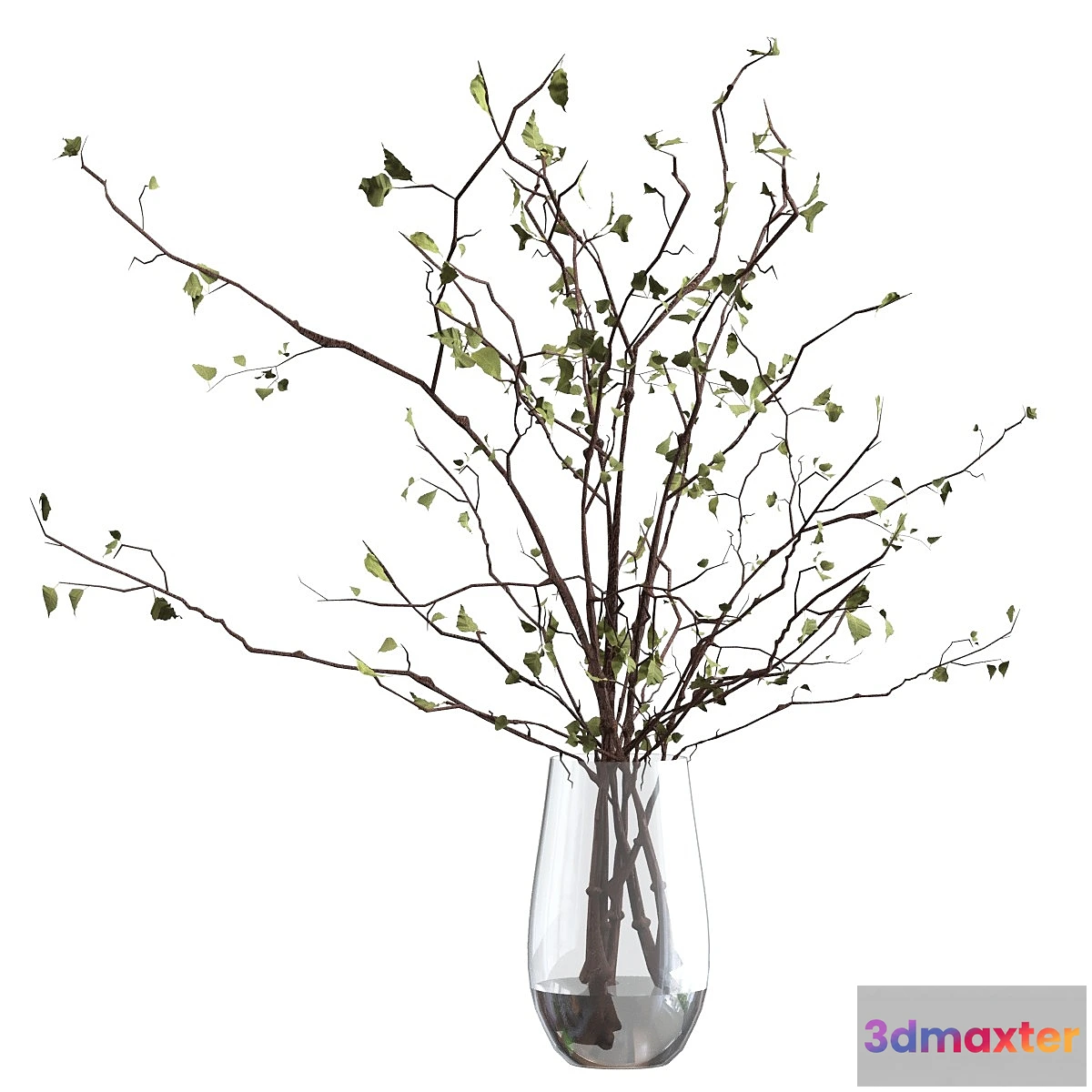 899422 - Branches in a vase - No.18