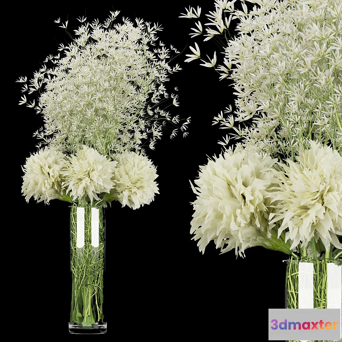 899484 - Collection plant vol 151 - No.2