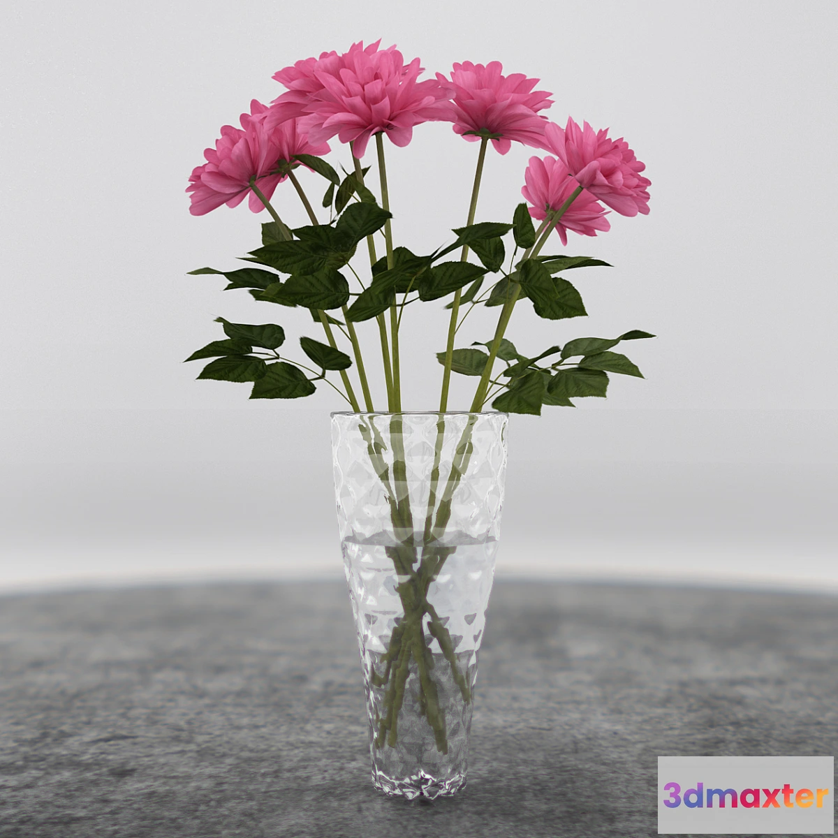 904264 - Flower 01 - No.3