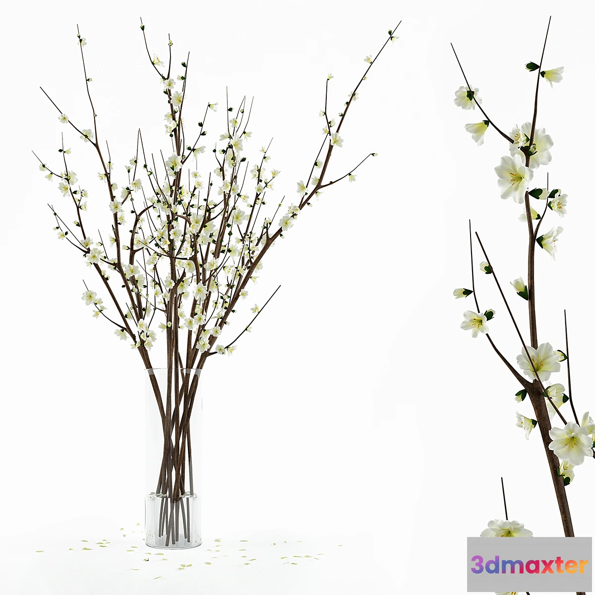 904310 - Branches in a vase - No.19