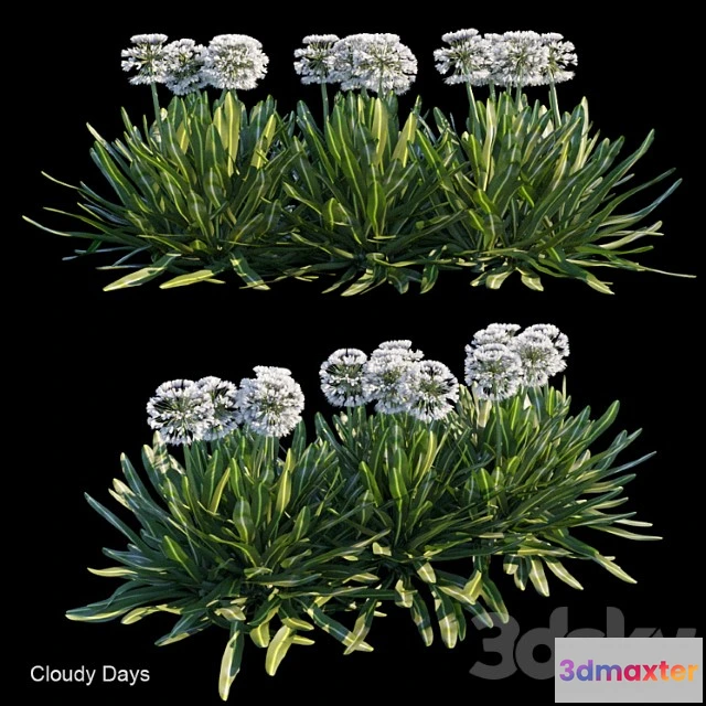 1010166 - Cloudy Days