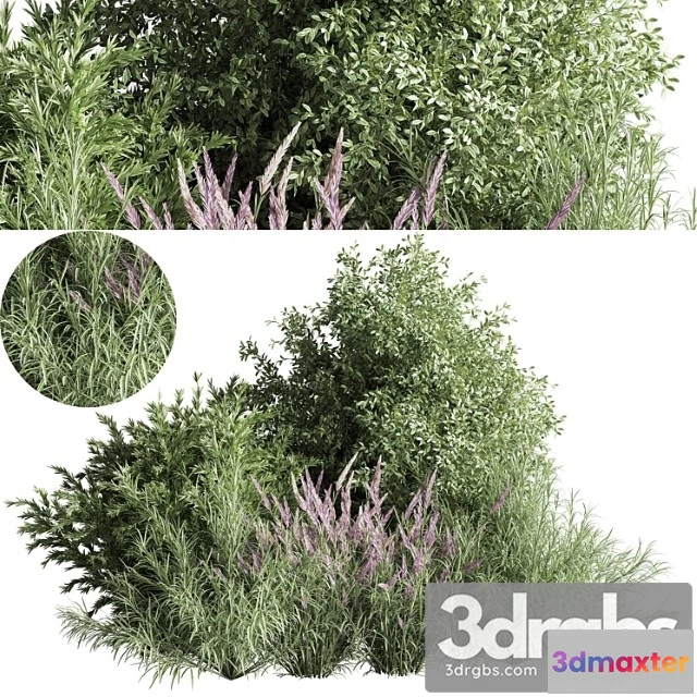 1060276 - Mixed Plant And Bush 01