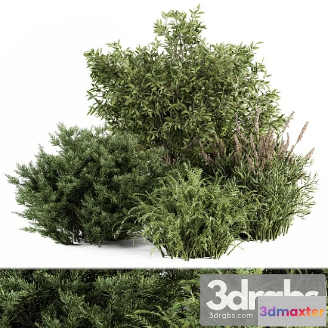 1060278 - Mixed plant bush - bush set 37