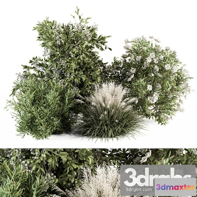 1060280 - Mixed plant bush - bush set 49
