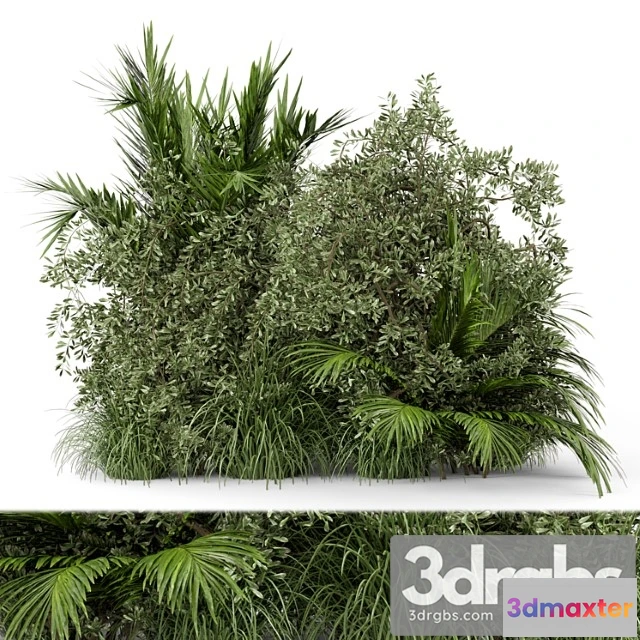 1060306 - Outdoor plants bush-bush set 446