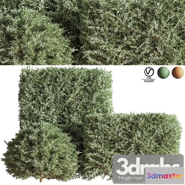 1060366 - Push09 Vray