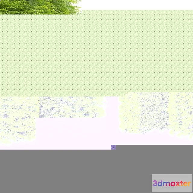 1060402 - Shaped bush plants 02