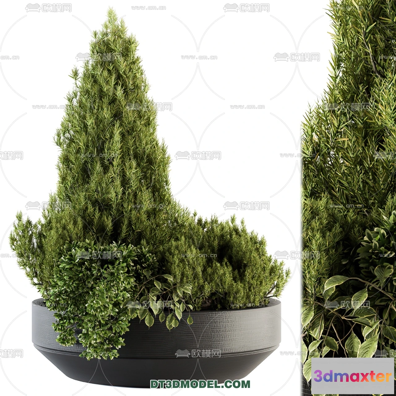 1238254 - PLANTS - BUSH - VRAY  CORONA - 3D MODEL - 251
