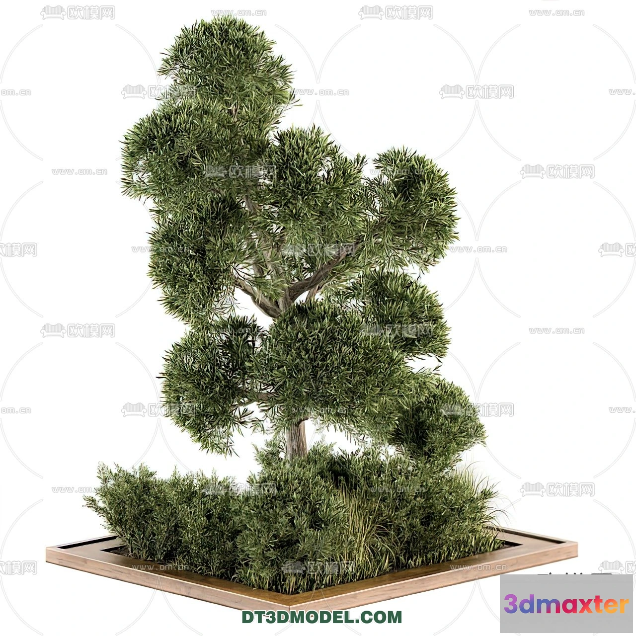 1238258 - PLANTS - BUSH - VRAY  CORONA - 3D MODEL - 253