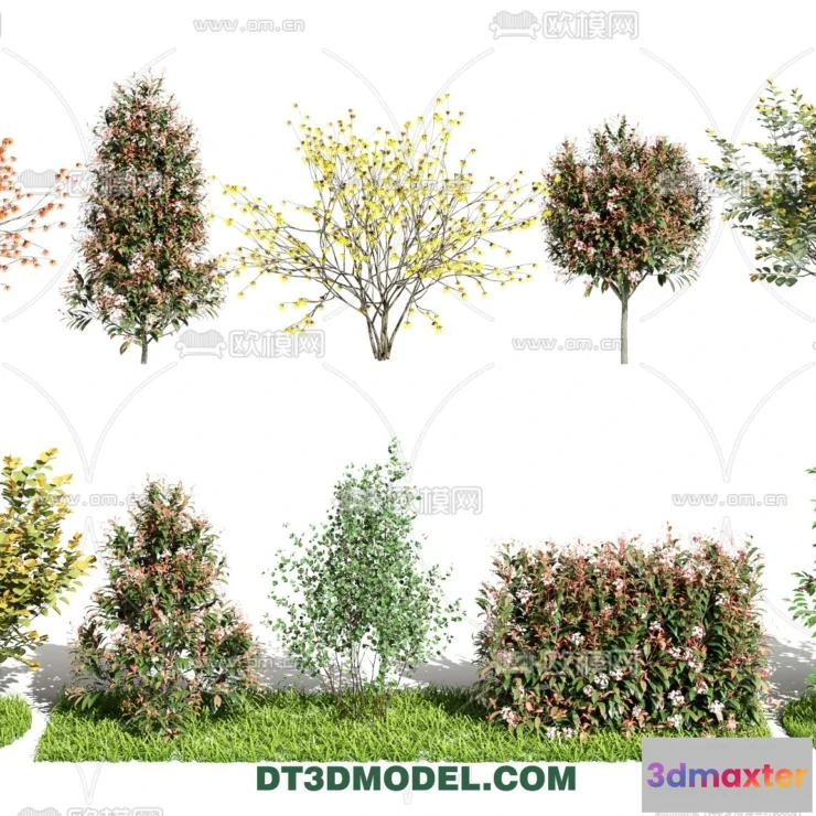 1238260 - PLANTS - BUSH - VRAY  CORONA - 3D MODEL - 254