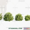 1238266 - PLANTS - BUSH - VRAY  CORONA - 3D MODEL - 257