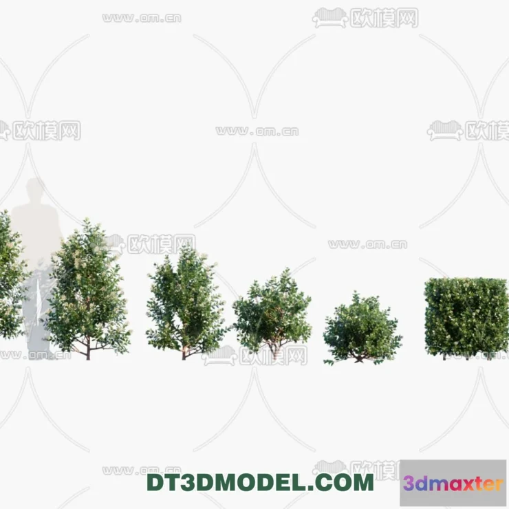 1238268 - PLANTS - BUSH - VRAY  CORONA - 3D MODEL - 258